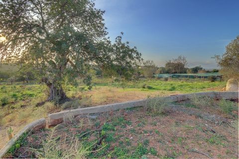 Ruins located in a high area with a fantastic open view, inserted in a clean land with 10.000m2. 5min from Silves. The ruin has 84m2 of construction with an urban area of ​​360m2 and is located in an agricultural area with 9.610m2, so it can be expan...