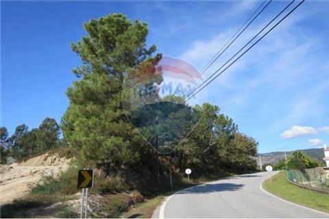 – Terreno com 6.798m2 – Viabilidade de construção – À face da EN301, estrada Fermil/Gandarela – Excelente exposição solar