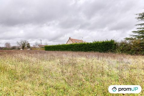 As you can see in the photographs, the plot of 1580 m2 is of an optimal shape to realize all your desires. It is immediately accessible and it is located in a quiet and welcoming place in the town of Cheverny. Cheverny is a village in the Loir-et-Che...