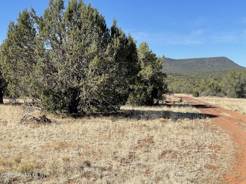 Nicely treed parcel--flat and usable. Easy road access. Enjoy the dark skies of Northern Arizona. Owner-agent is a licensed realtor in the State of Arizona. Owner will consider owner financing. Submit your terms. Some maps show Lago Rd as Dorado Rd.