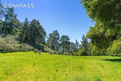In the exclusive Teháma community envisioned by Clint Eastwood is The Forest, a secluded 7.0-acre property set amid towering Monterey pines and a grove of ancient oaks. A scenic private driveway winds up the canyon to reveal a leveled building envelo...