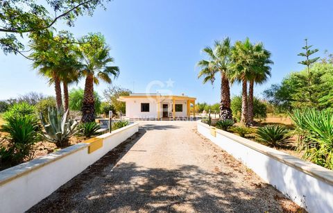 PUGLIA - SALENTO - CUTROFIANO In Cutrofiano, one km from the town centre, we are pleased to offer for sale a charming villa of approximately 113 m2, with surrounding land of approximately half a hectare. The house opens onto a large and bright living...