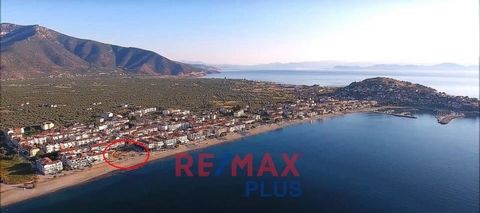 North Kynouria, Astros, Plot For Sale, In City plans, 2.031 sq.m., Its is 2 hours and 20 minutes by car from Athens, View: Sea view, Features: For development, With building permit, Price Negotiable, For Investment, Three Fronted, Flat, For tourist u...