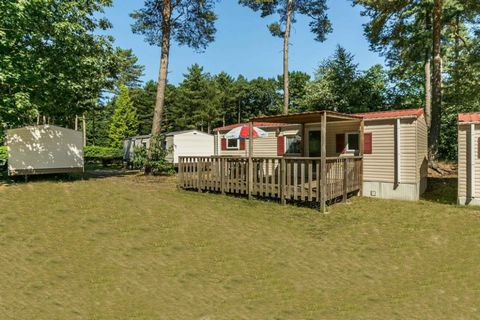 Holiday park Hengelhoef is located right on the edge of the nature area Hengelhoef, the perfect place to relax among nature, surrounded by forest, heather and hills. The holiday park itself offers various facilities for both young and old. The indoor...