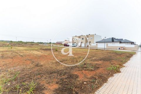   Discover the investment opportunity that this land in Loriguilla offers you, with an area of 1082 m2 according to cadastre and the possibility of segregation into plots, located in a developable area with exceptional potential. Its strategic locati...