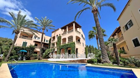 First floor apartment with sea views in very good condition, air conditioning hot/cold. Garage space included. Community garden and pool. Good restaurants and shopping are within walking distance. Cala D'Or and the sea are only 4 km away. See views. ...
