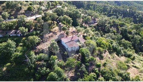 Als u op zoek bent naar de rust van het platteland, een fantastisch uitzicht, een deel van het huis praktisch bewoonbaar en de mogelijkheid om nog veel meer te bouwen, dan is dit een woning om te overwegen! De toegang is via een geasfalteerde weg en ...