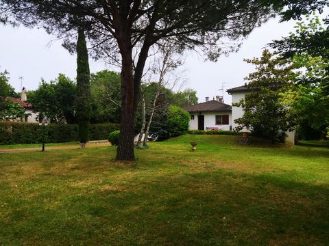 photo no. 4