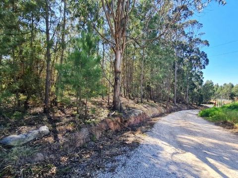 Grundstück mit 7479m2; hat PIP für den Bau einer geschlossenen Wohnanlage mit 5 Villen und Swimmingpool, neben dem Zentrum von Benedita, Alcobaça, Leiria. Bestehend aus Kiefern- und Eukalyptuswald, mit Baumachbarkeit (PIP für 5 Häuser eingereicht) un...