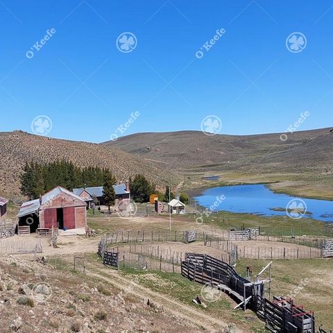 VENTA Campo Ganadero 4.394 has en Comallo, San Carlos de Bariloche- Rio Negro   Ubicación y accesos : Se accedes por Ruta 23 desde Bariloche unos 87 km, y a la altura de Comallo, unos 5 k antes, se dobla a la derecha por un Ruta vecinal bien mantenid...