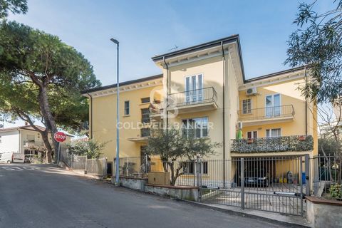 Sale of a Building in the Heart of Riccione Paese We offer for sale a splendid building located in the heart of Riccione Paese. The property is developed over three levels and consists of two apartments, one of which has a large tavern with an intern...