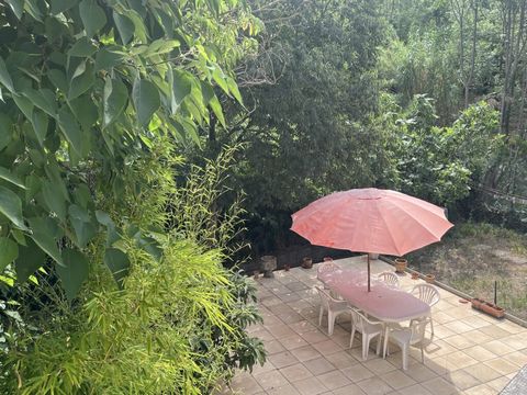 photo no. 38