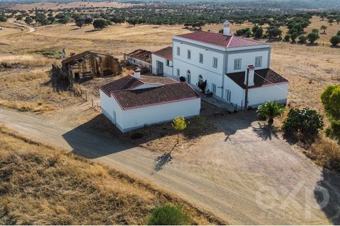 Monte Alentejano  Ideal for Rural Tourism Project / Boutique Hotel Land size 12 Hectares  This is a charming property located just 5 minutes away by car from the city of Serpa, and it is positioned 3.4 kilometers from the Guadiana River.  This beauti...