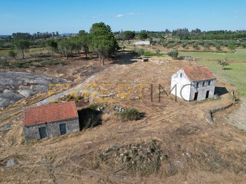 Ferme à potentiel touristique située à Vila Verde dans la municipalité de Seia, avec 33360 m2 de terrain. Ferme avec deux maisons en pierre de granit pour la reconstruction. Grande opportunité d'investissement. Faites votre visite maintenant. Perform...