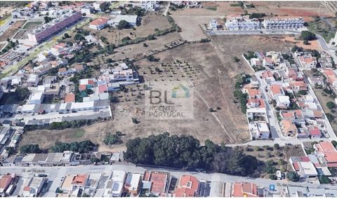 Terreno urbanizzabile, composto da 6 articoli, per un totale di 26771m2 Fattibile secondo il PDM, per la costruzione di 180 abitazioni, 5 piani. Prezzo per fuoco: 13.888 euro Disponibile: - Studio di fattibilità della costruzione; - Rilievo topografi...