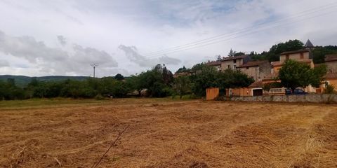 photo no. 9