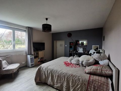 photo no. 7
