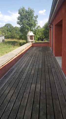 photo no. 4