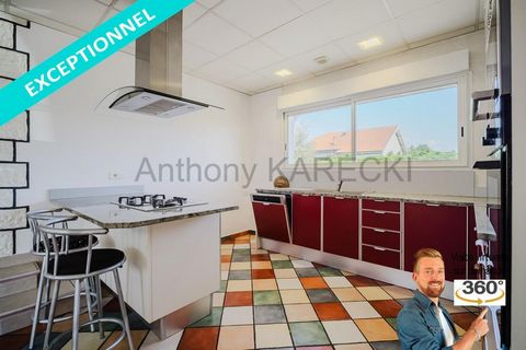 photo no. 7