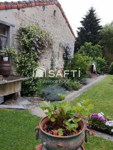 photo no. 11