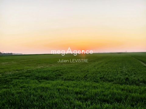 photo no. 7