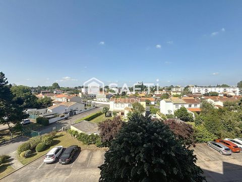 photo no. 6