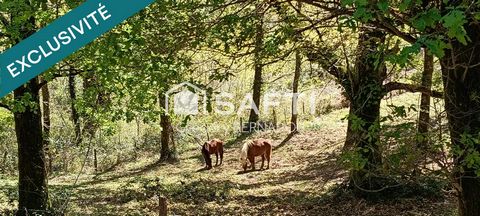 Au calme, en pleine nature, nichée dans la forêt