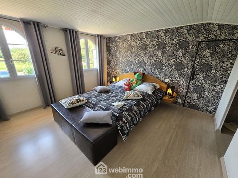 photo no. 12