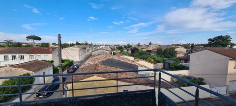 photo no. 6