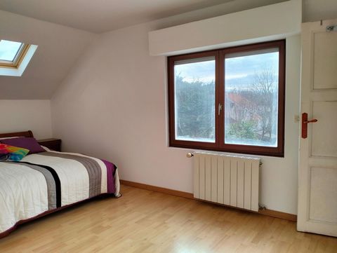 photo no. 6
