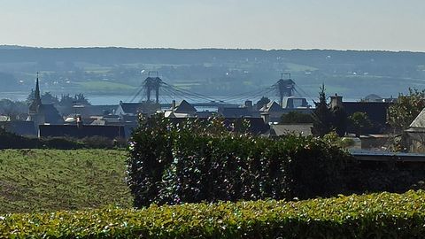 photo no. 11