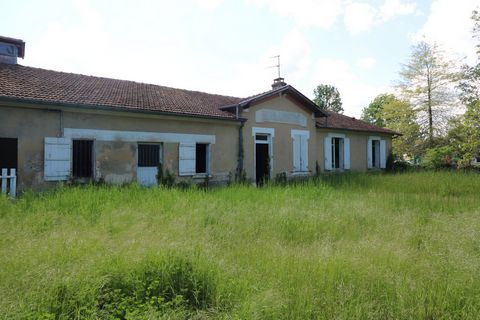 photo no. 2