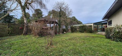 photo no. 15