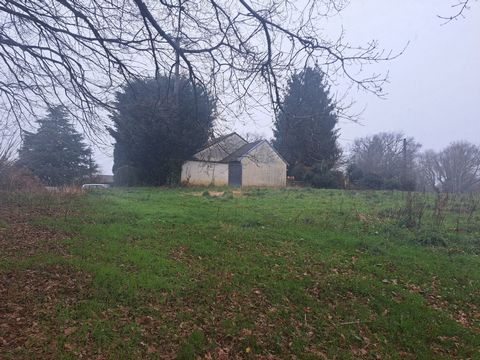 photo no. 2