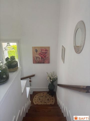 photo no. 6