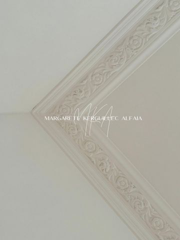 photo no. 2