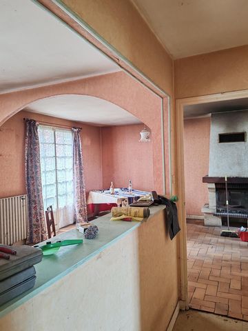 photo no. 6