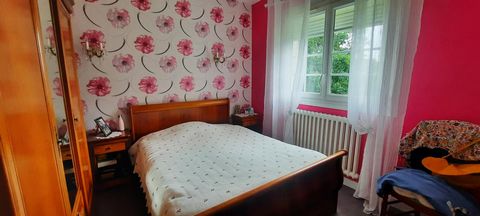 photo no. 6