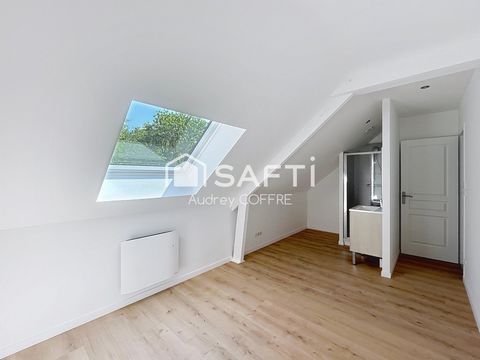 photo no. 8