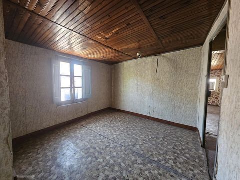 photo no. 10