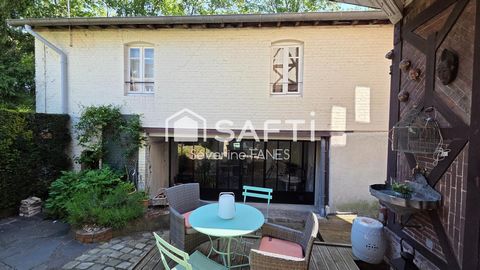 photo no. 12