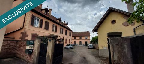 photo no. 6