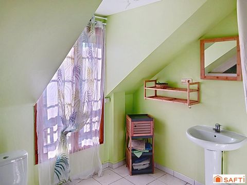 photo no. 11