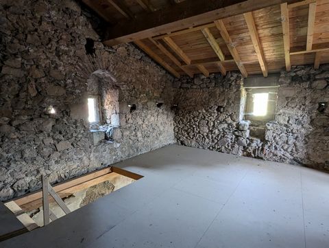 photo no. 8