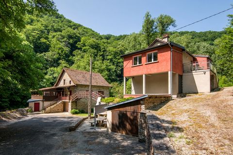 Charmants gîtes en pleine nature sur 4,5ha - Mayran