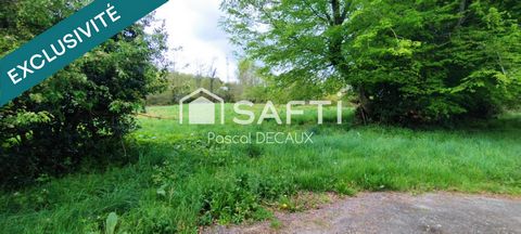 photo no. 15