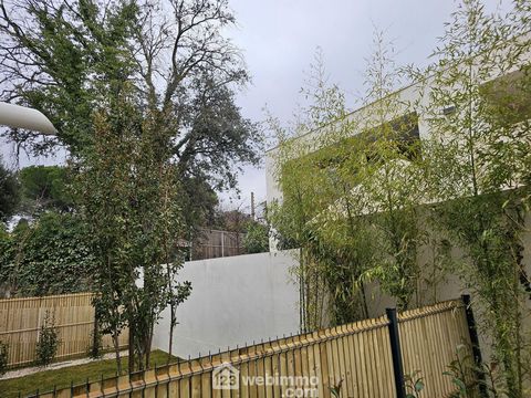 photo no. 19