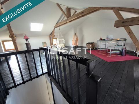 photo no. 12