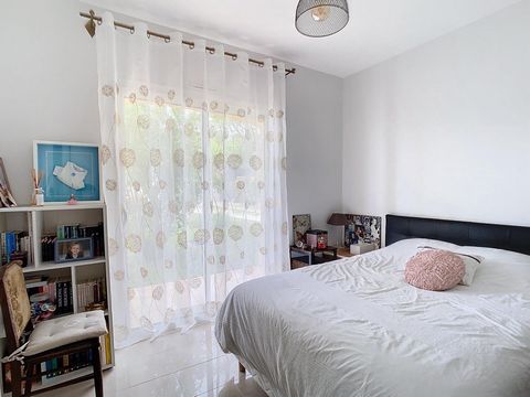 photo no. 11
