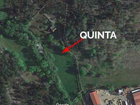 Apresentamos uma extraordinária quinta com 1,2 hectares e cerca de 200 m² de área edificada, situada numa zona de grande valor natural e termal, a apenas 6 km do prestigiado Spa & Nature Park de Pedras Salgadas. Esta propriedade, em cota plana e comp...